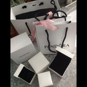 $15 for Everything Pandora Gift bags& Charm boxes